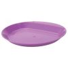 WILDO Wildo Camper Plate - Flat Lilac